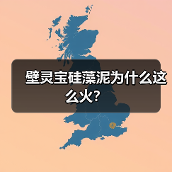 壁灵宝硅藻泥为什么这么火？（图1）