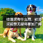 硅藻泥有什么用，硅藻泥前景无疑将更加广阔！（图2）