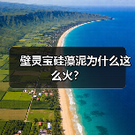 壁灵宝硅藻泥为什么这么火？（图2）