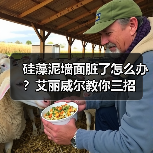 硅藻泥墙面脏了怎么办？艾丽威尔教你三招（图3）