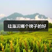 硅藻泥哪个牌子的好（图3）