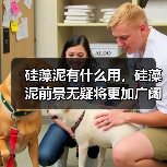 硅藻泥有什么用，硅藻泥前景无疑将更加广阔！（图3）