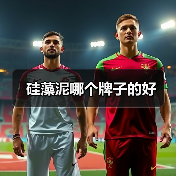 硅藻泥哪个牌子的好（图4）