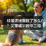 硅藻泥墙面脏了怎么办？艾丽威尔教你三招（图1）