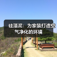 硅藻泥：为家装打造空气净化的环境（图4）