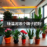 硅藻泥哪个牌子的好（图3）
