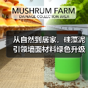 从自然到居家，硅藻泥引领墙面材料绿色升级（图1）