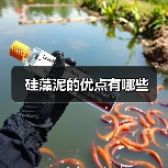 硅藻泥的优点有哪些（图1）