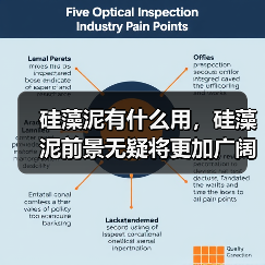 硅藻泥有什么用，硅藻泥前景无疑将更加广阔！（图2）