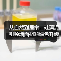 从自然到居家，硅藻泥引领墙面材料绿色升级（图1）