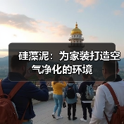 硅藻泥：为家装打造空气净化的环境（图3）