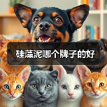 硅藻泥哪个牌子的好（图2）