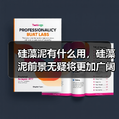 硅藻泥有什么用，硅藻泥前景无疑将更加广阔！（图1）
