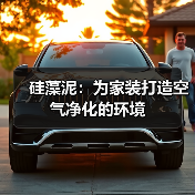 硅藻泥：为家装打造空气净化的环境（图4）