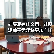 硅藻泥有什么用，硅藻泥前景无疑将更加广阔！（图3）