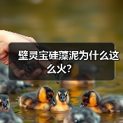 壁灵宝硅藻泥为什么这么火？（图4）