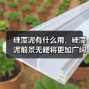 硅藻泥有什么用，硅藻泥前景无疑将更加广阔！（图2）
