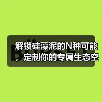 解锁硅藻泥的N种可能，定制你的专属生态空间（图4）