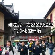 硅藻泥：为家装打造空气净化的环境（图4）