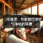 硅藻泥：为家装打造空气净化的环境（图1）