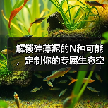 解锁硅藻泥的N种可能，定制你的专属生态空间（图1）