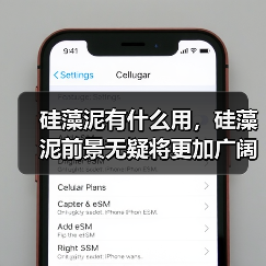 硅藻泥有什么用，硅藻泥前景无疑将更加广阔！（图3）