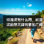 硅藻泥有什么用，硅藻泥前景无疑将更加广阔！（图4）
