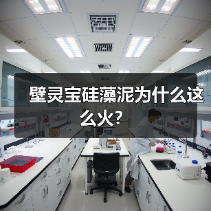 壁灵宝硅藻泥为什么这么火？（图4）