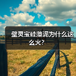 壁灵宝硅藻泥为什么这么火？（图3）