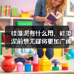 硅藻泥有什么用，硅藻泥前景无疑将更加广阔！（图3）