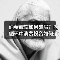 消费疲软如何破局?内循环中消费投资如何适配?(图2) 消费疲软如何破局?内循环中消费投资如何适配?(图2)