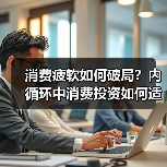 消费疲软如何破局?内循环中消费投资如何适配?(图4) 消费疲软如何破局?内循环中消费投资如何适配?(图4)