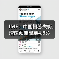 IMF：中国复苏失衡，增速预期降至4.8%（图2）