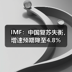 IMF：中国复苏失衡，增速预期降至4.8%（图1）
