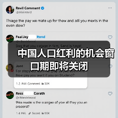 中国人口红利的机会窗口期即将关闭(图1) 中国人口红利的机会窗口期即将关闭(图1)