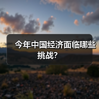 今年中国经济面临哪些挑战?(图2) 今年中国经济面临哪些挑战?(图2)
