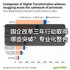 国企改革三年行动取得哪些突破?专业化整合如何打造世界一流企业?(图4) 国企改革三年行动取得哪些突破?专业化整合如何打造世界一流企业?(图4)