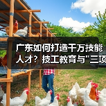 广东如何打造千万技能人才?技工教育与 广东如何打造千万技能人才?技工教育与