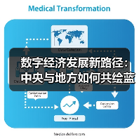 数字经济发展新路径:中央与地方如何共绘蓝图?(图4) 数字经济发展新路径:中央与地方如何共绘蓝图?(图4)