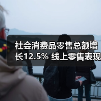 社会消费品零售总额增长12.5% 线上零售表现亮眼(图3) 社会消费品零售总额增长12.5% 线上零售表现亮眼(图3)