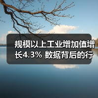 规模以上工业增加值增长4.3% 数据背后的行业分化(图2) 规模以上工业增加值增长4.3% 数据背后的行业分化(图2)