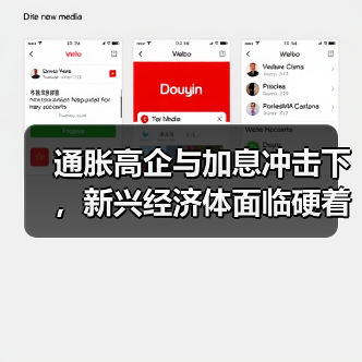 通胀高企与加息冲击下,新兴经济体面临硬着陆风险?(图4) 通胀高企与加息冲击下,新兴经济体面临硬着陆风险?(图4)