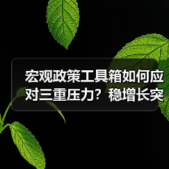 宏观政策工具箱如何应对三重压力?稳增长突破路径解析(图1) 宏观政策工具箱如何应对三重压力?稳增长突破路径解析(图1)