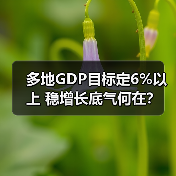 多地GDP目标定6%以上 稳增长底气何在?(图1) 多地GDP目标定6%以上 稳增长底气何在?(图1)