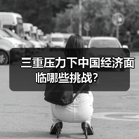 三重压力下中国经济面临哪些挑战？（图4）