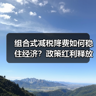 组合式减税降费如何稳住经济？政策红利释放企业活力（图2）