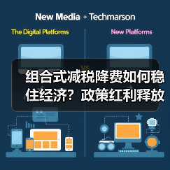 组合式减税降费如何稳住经济？政策红利释放企业活力（图3）