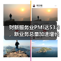 财新服务业PMI达53.1，新业务总量加速增长（图1）