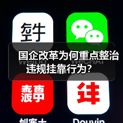 国企改革为何重点整治违规挂靠行为?(图4) 国企改革为何重点整治违规挂靠行为?(图4)