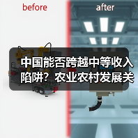 中国能否跨越中等收入陷阱?农业农村发展关键(图2) 中国能否跨越中等收入陷阱?农业农村发展关键(图2)